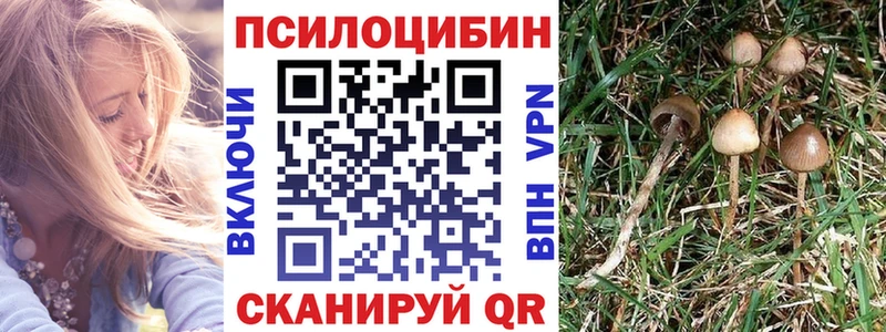 магазин продажи   Михайловка  Галлюциногенные грибы мухоморы 